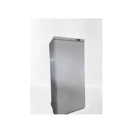 Armoire réfrigérée négative - Porte pleine - 600 L - Sofracold