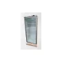 Armoire réfrigérée positive - Porte vitrée - 600 L - Sofracold