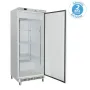 Armoire ventilée extérieur laqué blanc positive GN 2/1 - 700 L - Furnotel