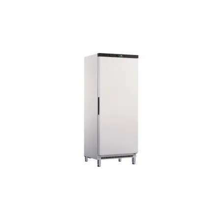 Armoire positive -2°/+8°C - 570 L - Finition extérieure laquée blanche - Furnotel
